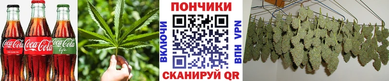 купить закладку  Жуковка  Cannafood марихуана 