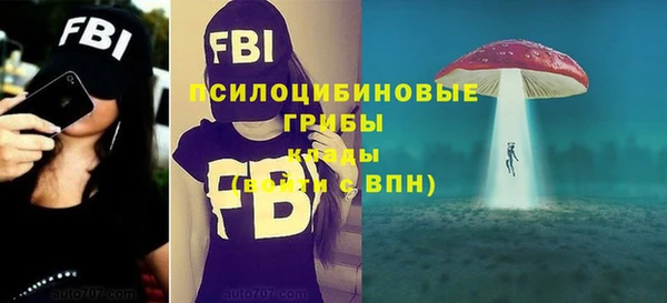 МДПВ Гусев