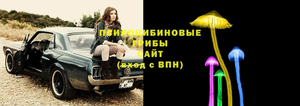 прущая мука Каменка