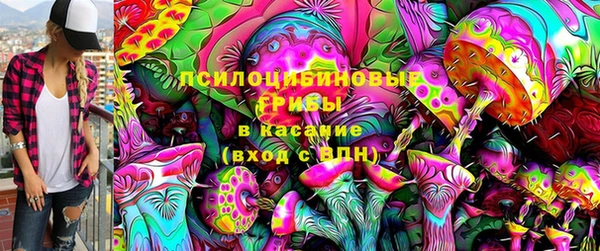 не бодяженный Каменногорск