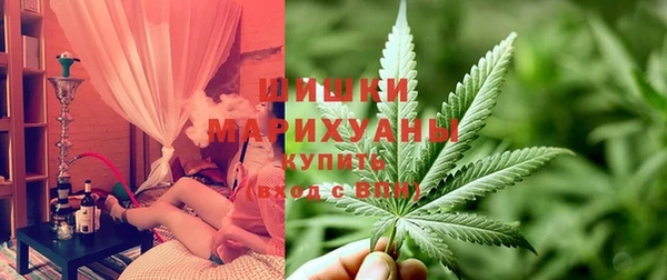 apvp Гусиноозёрск
