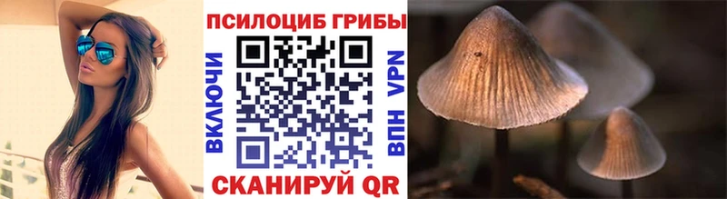 где можно купить Жуковка блэк спрут вход Галлюциногенные грибы MAGIC MUSHROOMS